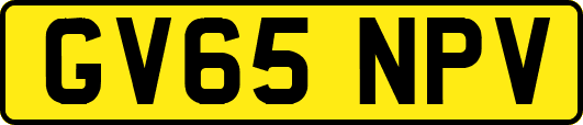 GV65NPV