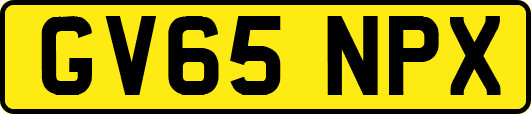 GV65NPX