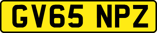 GV65NPZ