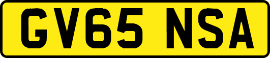 GV65NSA