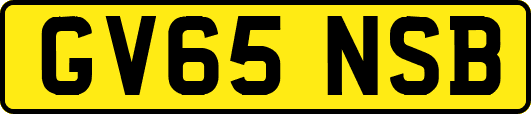 GV65NSB