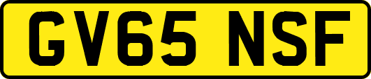 GV65NSF