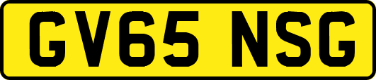 GV65NSG