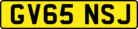 GV65NSJ