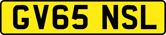 GV65NSL
