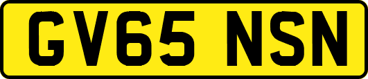 GV65NSN