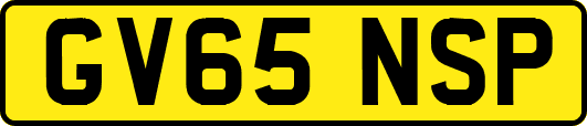 GV65NSP