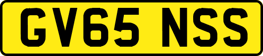 GV65NSS