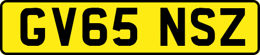 GV65NSZ