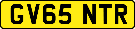 GV65NTR