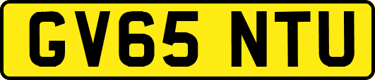 GV65NTU