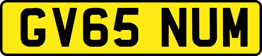 GV65NUM