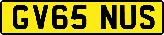GV65NUS