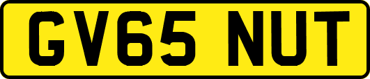 GV65NUT