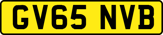 GV65NVB