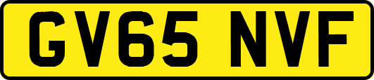 GV65NVF