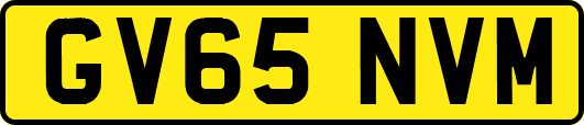 GV65NVM