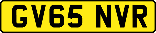GV65NVR