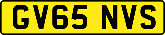GV65NVS