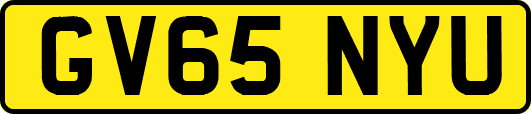 GV65NYU