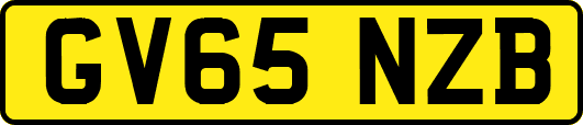 GV65NZB