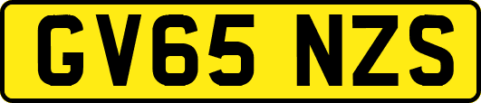 GV65NZS