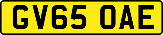 GV65OAE