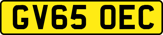 GV65OEC