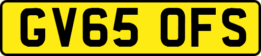 GV65OFS