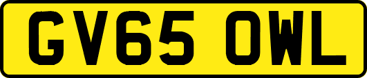 GV65OWL