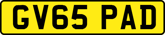 GV65PAD