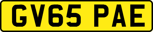 GV65PAE