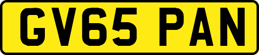 GV65PAN