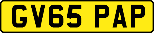 GV65PAP