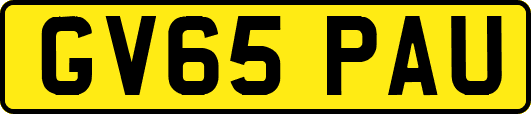 GV65PAU