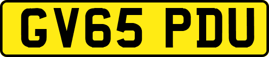 GV65PDU