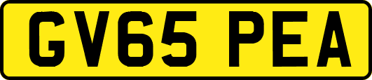 GV65PEA