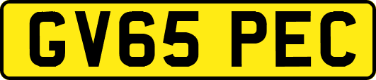 GV65PEC