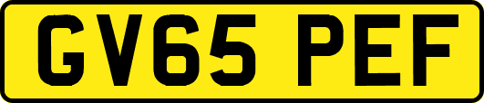 GV65PEF
