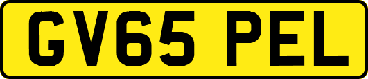 GV65PEL