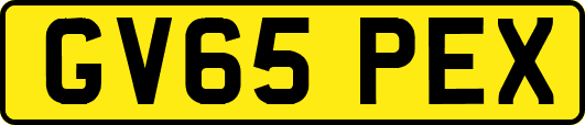 GV65PEX