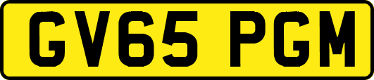 GV65PGM