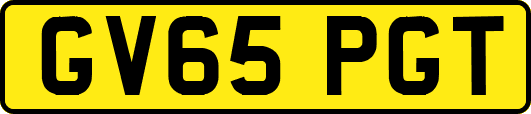 GV65PGT
