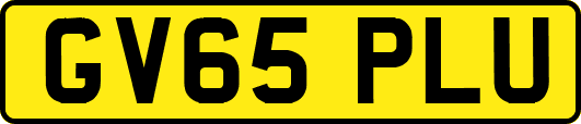 GV65PLU