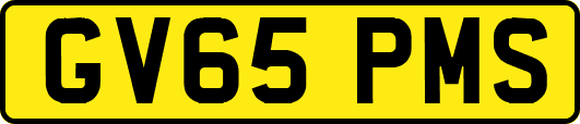 GV65PMS