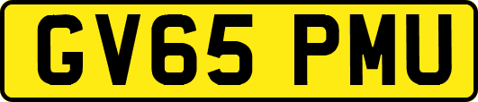 GV65PMU