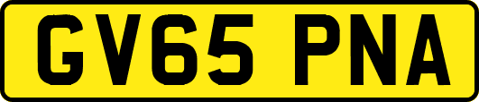 GV65PNA