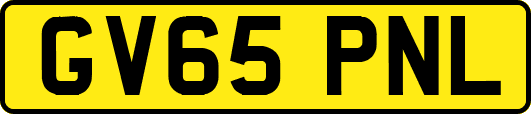 GV65PNL