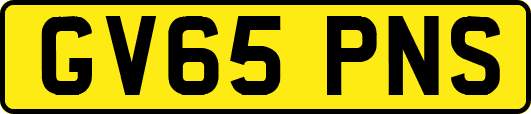 GV65PNS