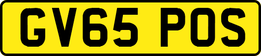 GV65POS
